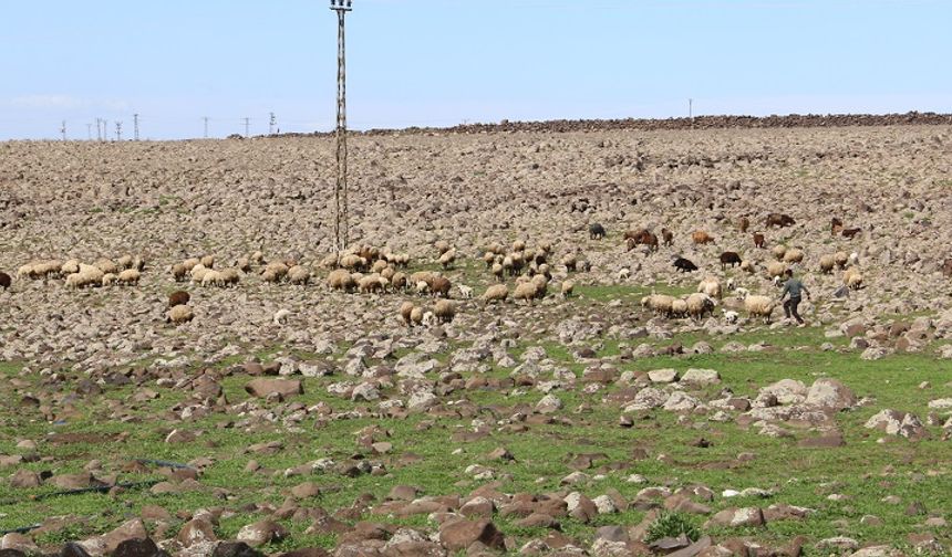 ‘Burası Mars değil Karacadağ’: Görüntüler dikkat çekti!