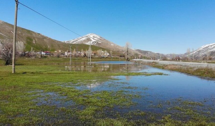 Diyarbakır'da yağmur sonrası acı tablo: Ekili araziler zarar gördü!