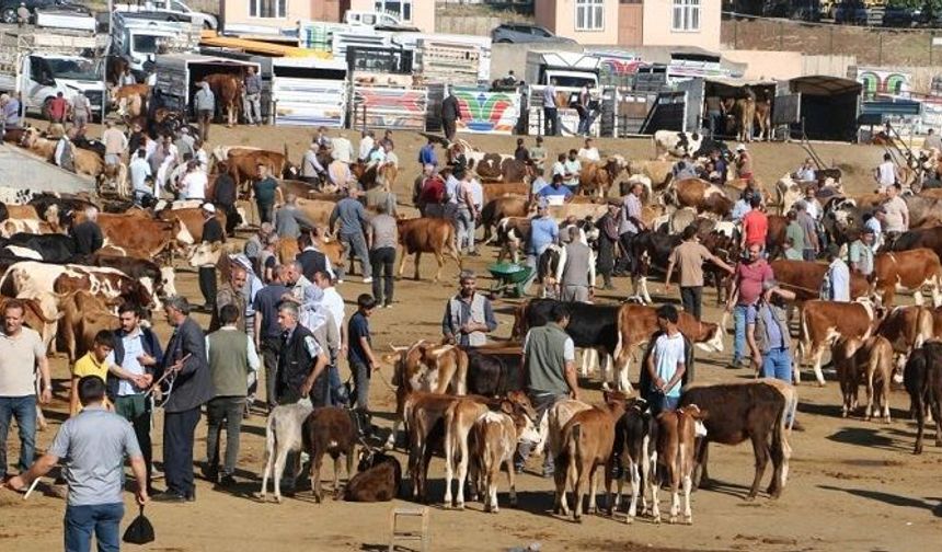 Diyarbakır’da büyükbaş ve küçükbaş kurban kesim ücretleri belli oldu!