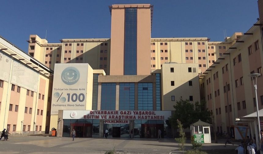 Diyarbakır’da yılanın ısırdığı çoban yaşamını yitirdi!