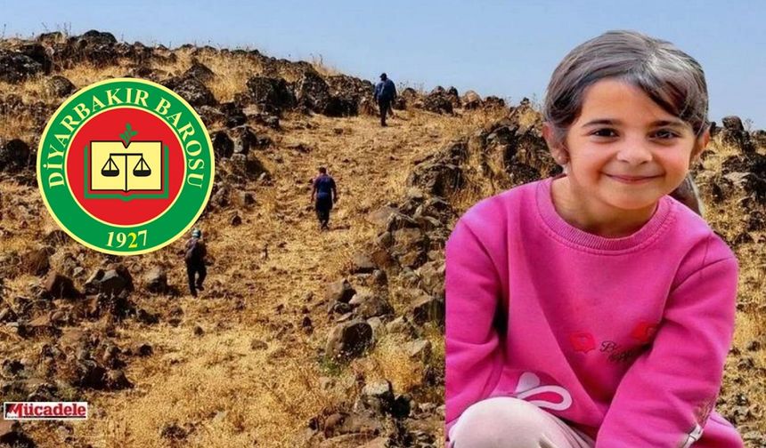 Aren bebek davasında Diyarbakır Barosu ve Narin olayı detayı!