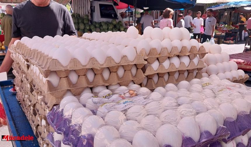 Yumurta üretimi düşüşte: 6 ayda 330 milyon adet azaldı
