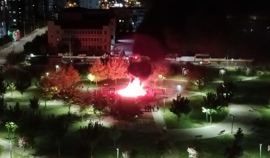 Diyarbakır’da çocuk oyun parkı alevlere teslim oldu!