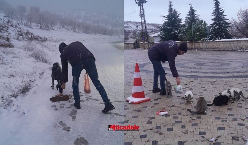 Diyarbakır’a kar yağdı! Sokak hayvanları unutulmadı