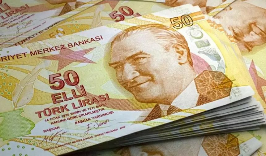 Merkez Bankası 50 lira çıkardı! Sosyal medyada tartışıldı