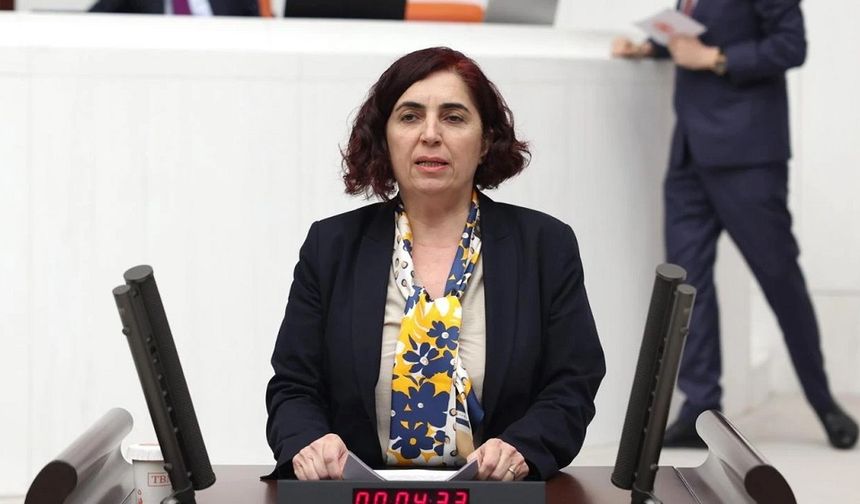 Diyarbakır’daki çevresel yıkımlar Meclis’e taşındı!