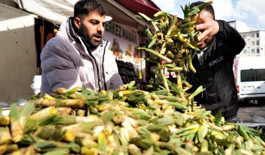 Diyarbakır'da ‘Gulik’ pazara indi: İşte fiyatı