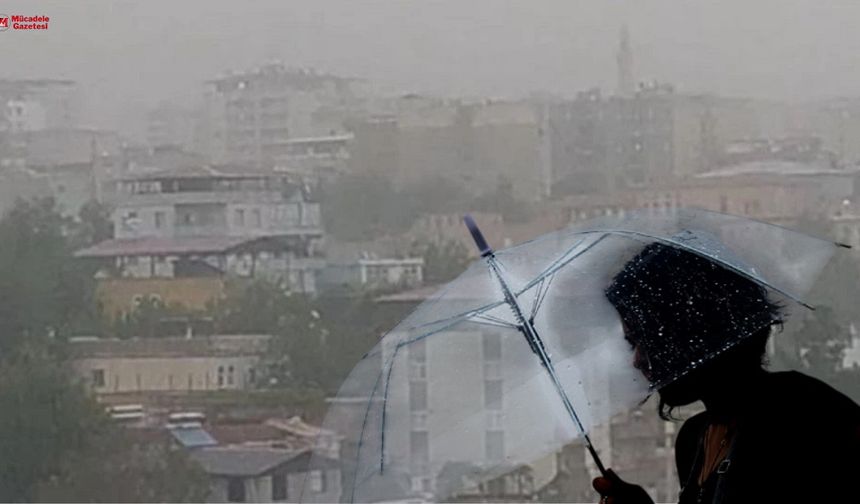 Diyarbakır’da yağmur bekleyen çiftçiye kötü haber: “Çok tehlikeli bir durum!”