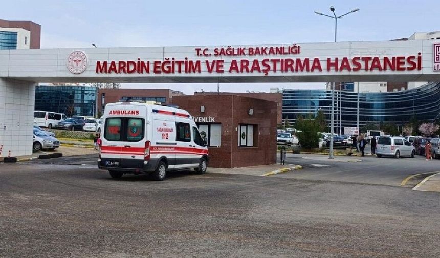 Mardin'de mayın patladı: 2 kardeş yaralandı!