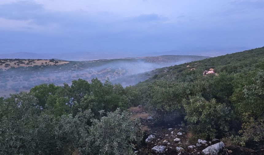Diyarbakır'da ormanlık alanda örtü yangını