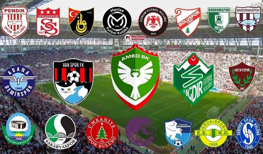 Lider sadece Amedspor, Vanspor ve Iğdır FK'ye yenildi!