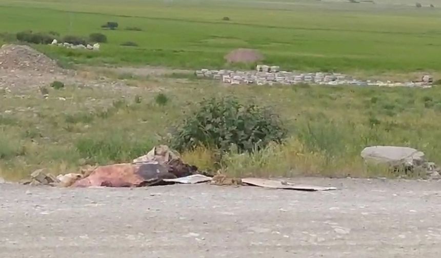 Yol kenarına attılar: Hakkari’de o görüntüler tepki çekti!