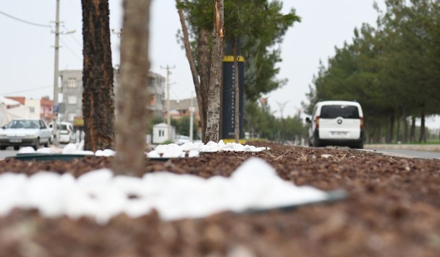 Belediye paylaştı: Bismil’in girişleri artık böyle!