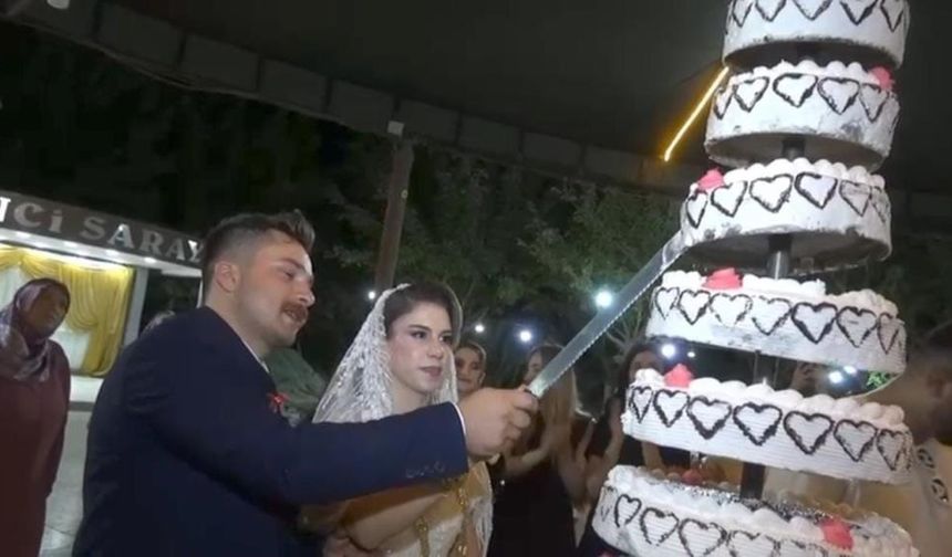 Urfa’da düğün pastası zehirledi: 60 davetli hastanelik oldu