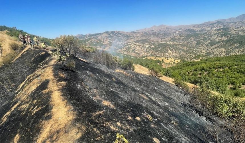 Diyarbakır'da onlarca ağaç kül oldu!
