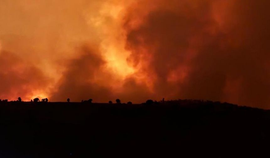 Diyarbakır’da orman yangını: 3 saattir sürüyor, bir ev tahliye edildi!