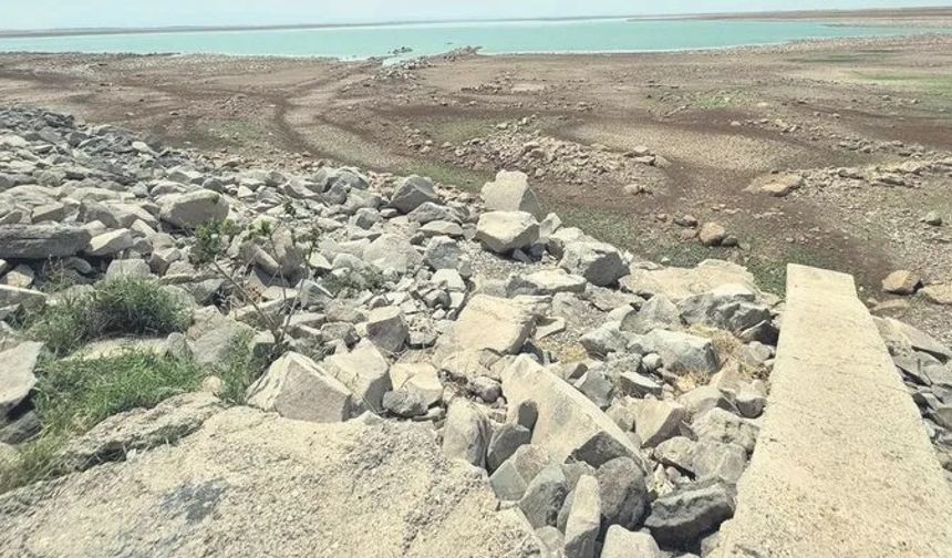 Diyarbakır'da Devegeçidi çöle döndü: Baraj kuruyor!