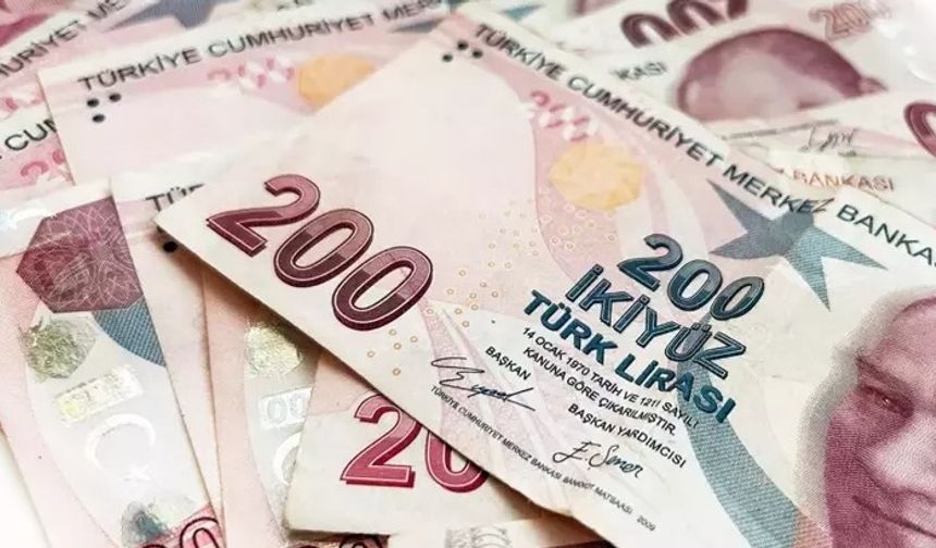200 TL’nin üstünde imzası var: O isim tutuklandı!