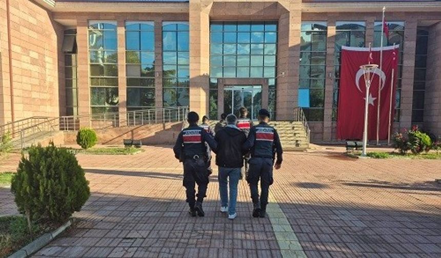 Ev eşyası taşır gibi taşıdılar: On binlerce hap ele geçirildi