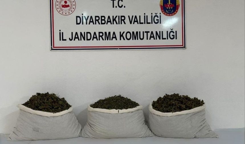 Diyarbakır Lice’de 15 kilo skunk ele geçirildi