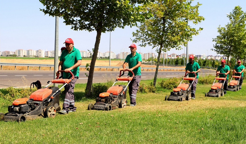 Diyarbakır’da ağaç sayısı belli oldu: Kimse tahmin edemez!