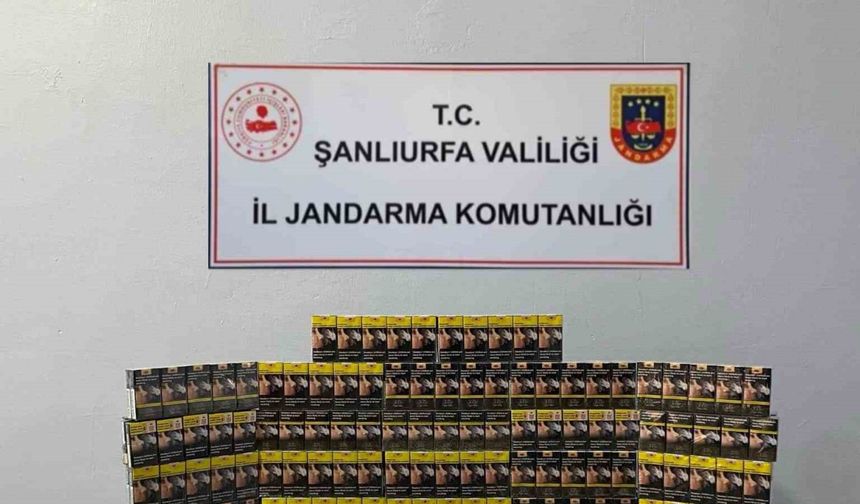 Şanlıurfa’da 5 bin paket kaçak sigara ele geçirildi