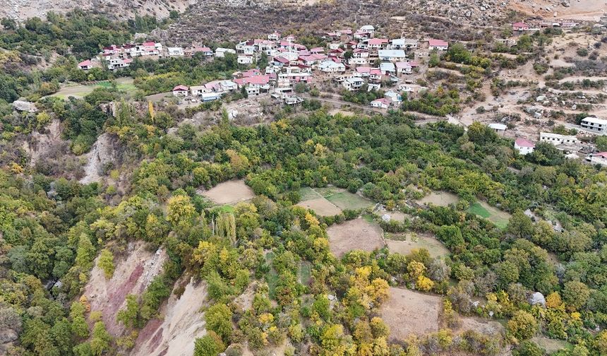 Diyarbakır’daki bu köyde hem portakal hem mandalina hem fındık yetişiyor!