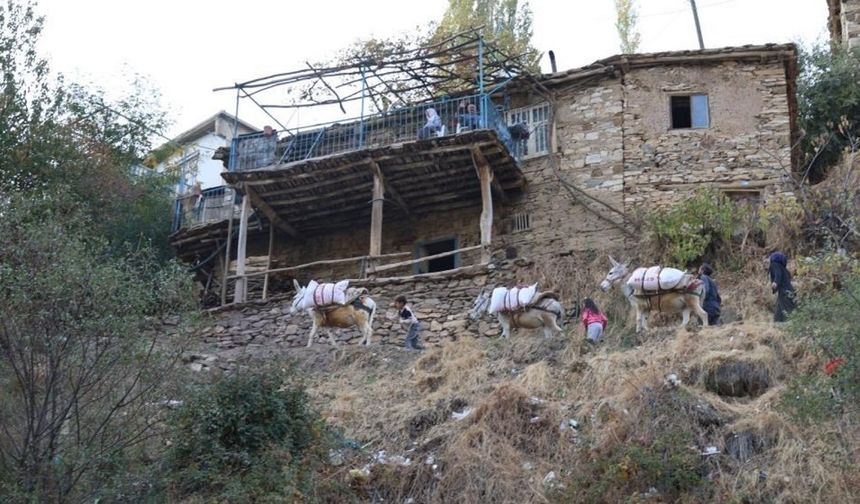 Diyarbakır’ın en güzel köyü seçilmişti: “Eşek olmazsa hayat yok”