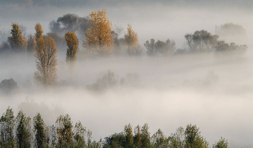 Diyarbakır’da UNESCO mirası olan Hevsel görünmez oldu!