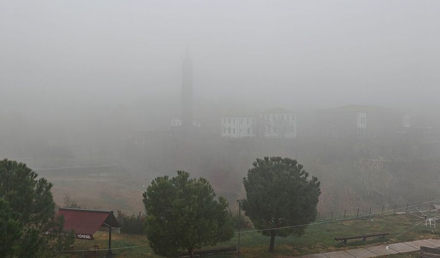 Diyarbakır yoğun sise teslim oldu: İçkale görünmez oldu!