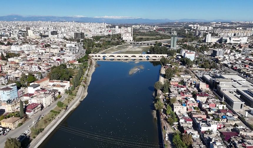 O baraja su verilmedi: Balıklar öldü!