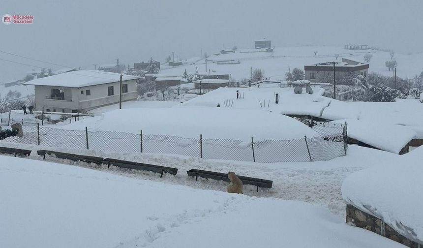 Diyarbakır'da köy yolları kapalı: Yetkililere acil çağrı!