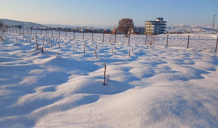 Diyarbakır’daki kar çiftçiyi nasıl etkiledi?
