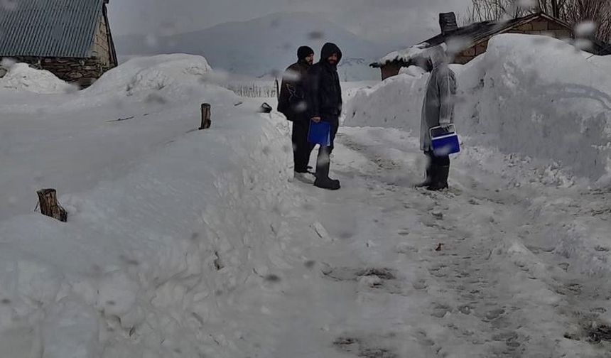Hakkari'de eşekte kuduz tespit edildi, köy karantinaya alındı