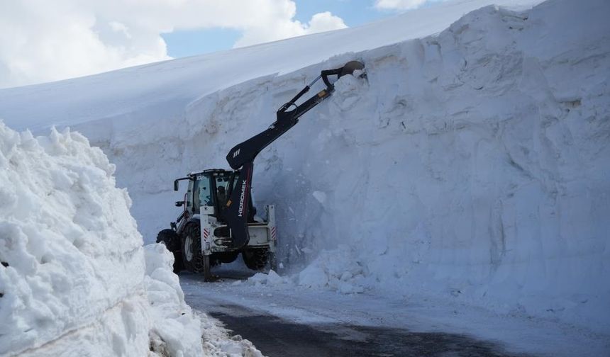 Muş'ta kar kalınlığı 6 metreyi geçti, yollar açılmaya çalışılıyor