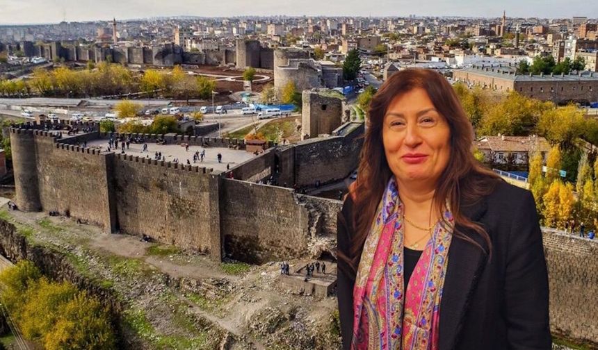 DİTAV, Diyarbakırlı bakanın kızına emanet: Aysu Aksu kimdir?