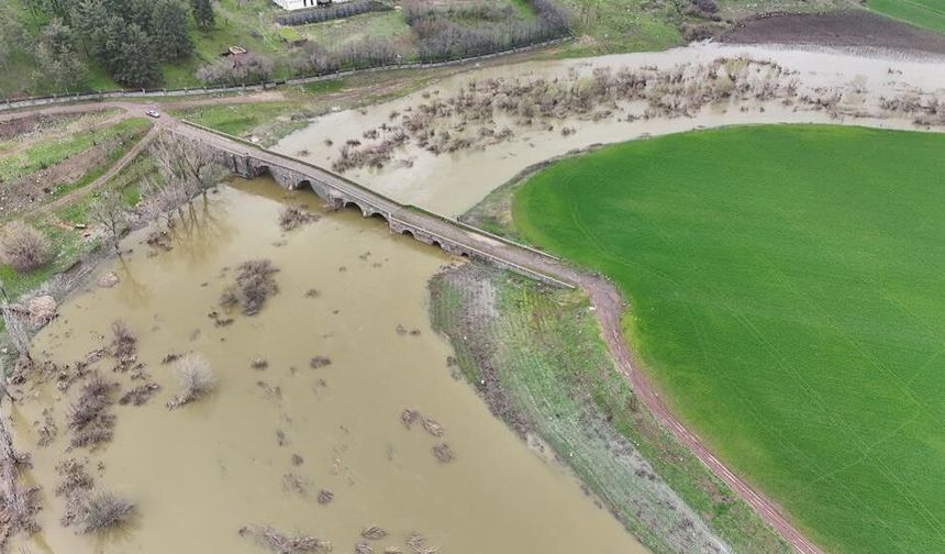 Diyarbakır'da binlerce balık öldü: Sebebi belli oldu