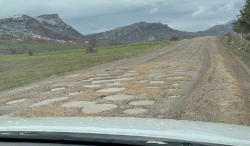 Diyarbakır'da bakımsız köy yolları sürücüleri isyan ettirdi!