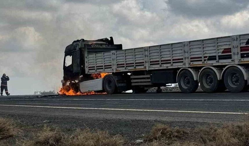 Diyarbakır’da seyir halindeki TIR alev aldı