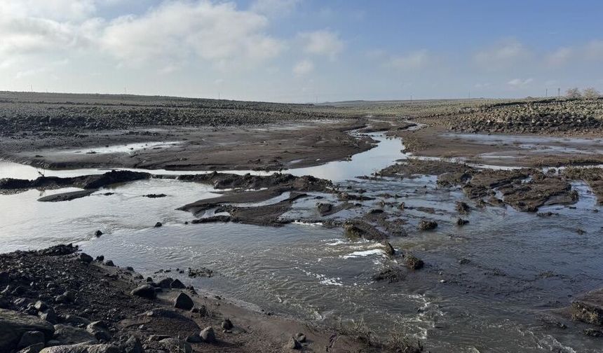 Diyarbakır'da gölet patladı: Ekinler su altında kaldı