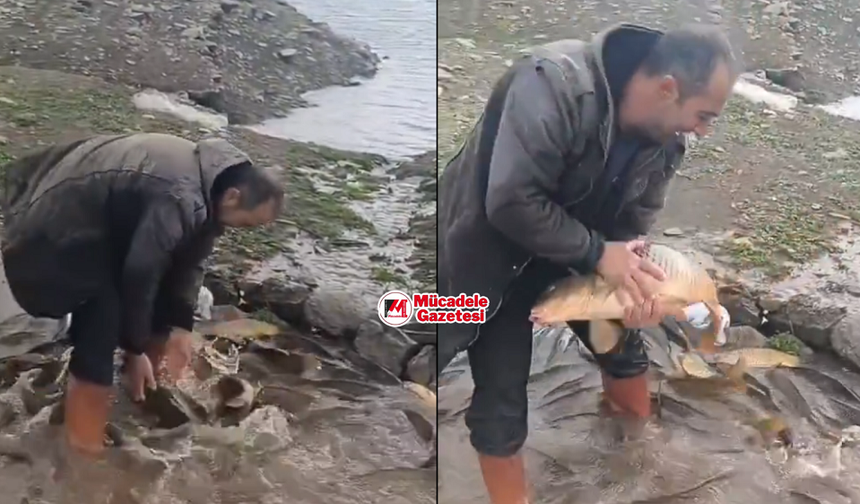 Diyarbakır’da tek hamle yetti: Dev sazanların korkulu rüyası geliyor!