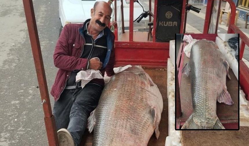 Diyarbakır'da yakaladılar: Görenler şaşkına döndü