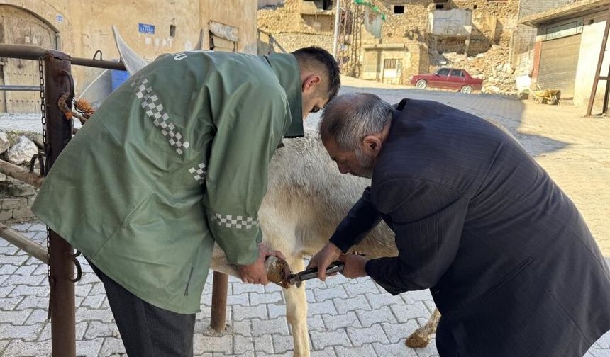 Diyarbakırlı 2 kardeş 50 yıldır nalbantlık ve semercilik yapıyor