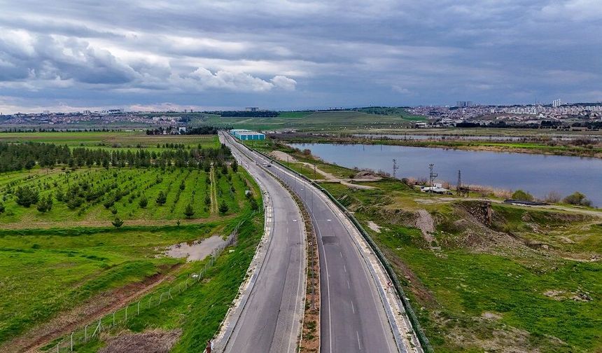 Diyarbakır’a nefes olacak: Son 1 yılda dikilen ağaç sayısı belli oldu!