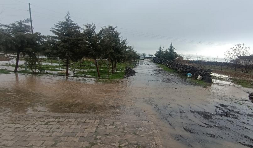 Diyarbakır’da atık skandalı: Mahalleli isyan bayrağını açtı!