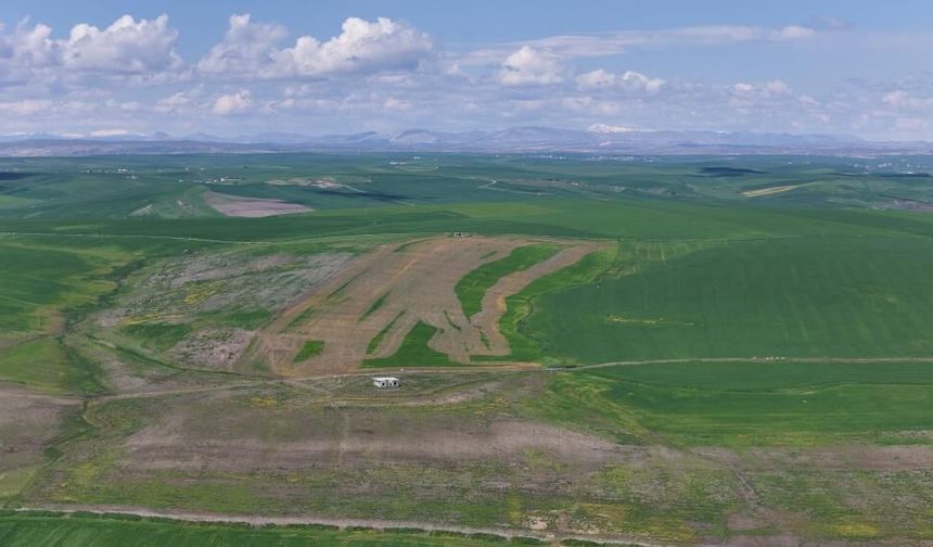 Diyarbakır'da 250 dönüm ekili tarla ilaçlanarak kurutuldu!