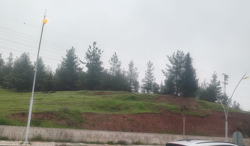 Diyarbakır’da “israf” alarmı: Gündüz vakti yanan lambalar tepki çekiyor!