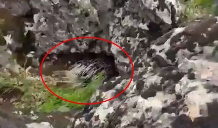 Diyarbakır’da bir ilk: Korkup taş attılar, korumaya alındı!