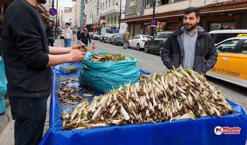 Diyarbakır’ın şifa deposu "kenger" tezgâhlara indi: İşte fiyatı