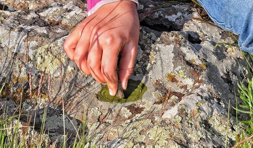 Diyarbakır'da yılların geleneği yaşatılıyor: Yosun, kınaya rakip